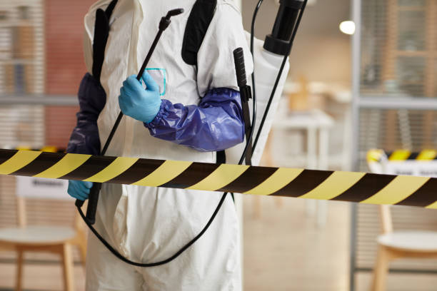 Professional Sewage Cleanup technician working in Yettem, CA