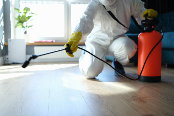 Reliable Sewage Cleanup contractor in Yettem, CA by Dulley Family Biohazard Services